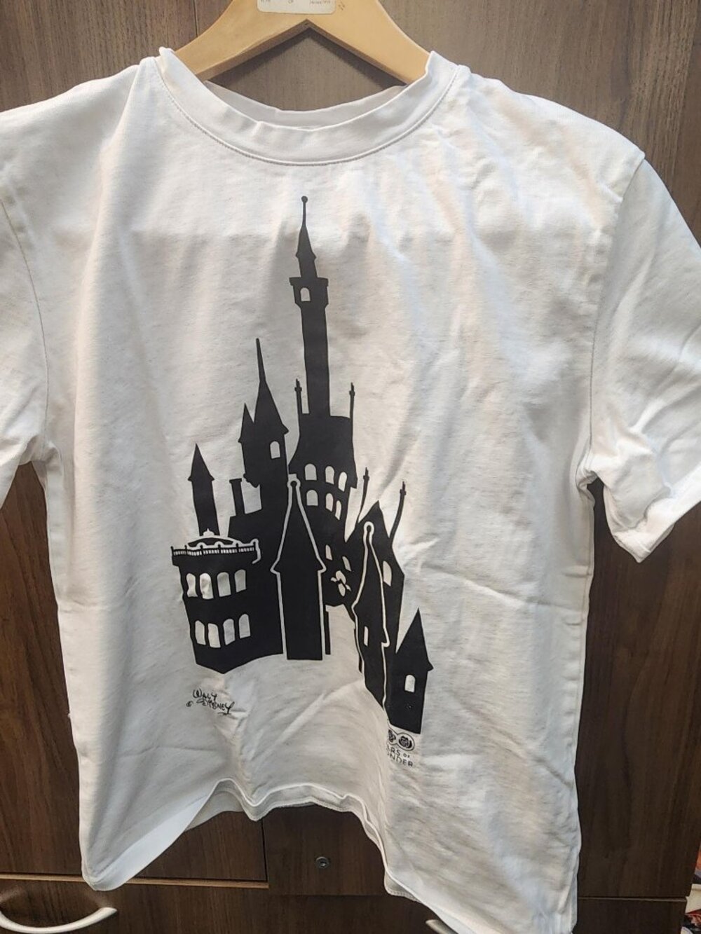 Zara Disney 100 years t-shirt